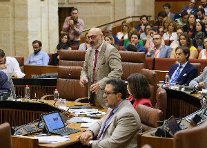 Alejandro Hernndez, portavoz del Grupo Vox, interviene en la sesin de control