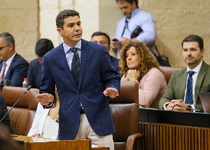  Sergio Romero, portavoz del Grupo Ciudadanos, en su pregunta al presidente de la Junta de Andaluca
