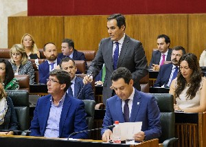  Jos Antonio Nieto, portavoz del Grupo Popular, en la sesin de control