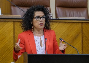  Mara Isabel Mora, del Grupo Adelante Andaluca, presenta una proposicin no de ley ante el Pleno