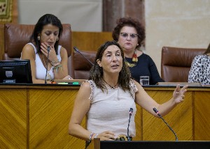  Mara Dolores Lpez, del Grupo Popular, en el debate de una de las proposiciones no de ley