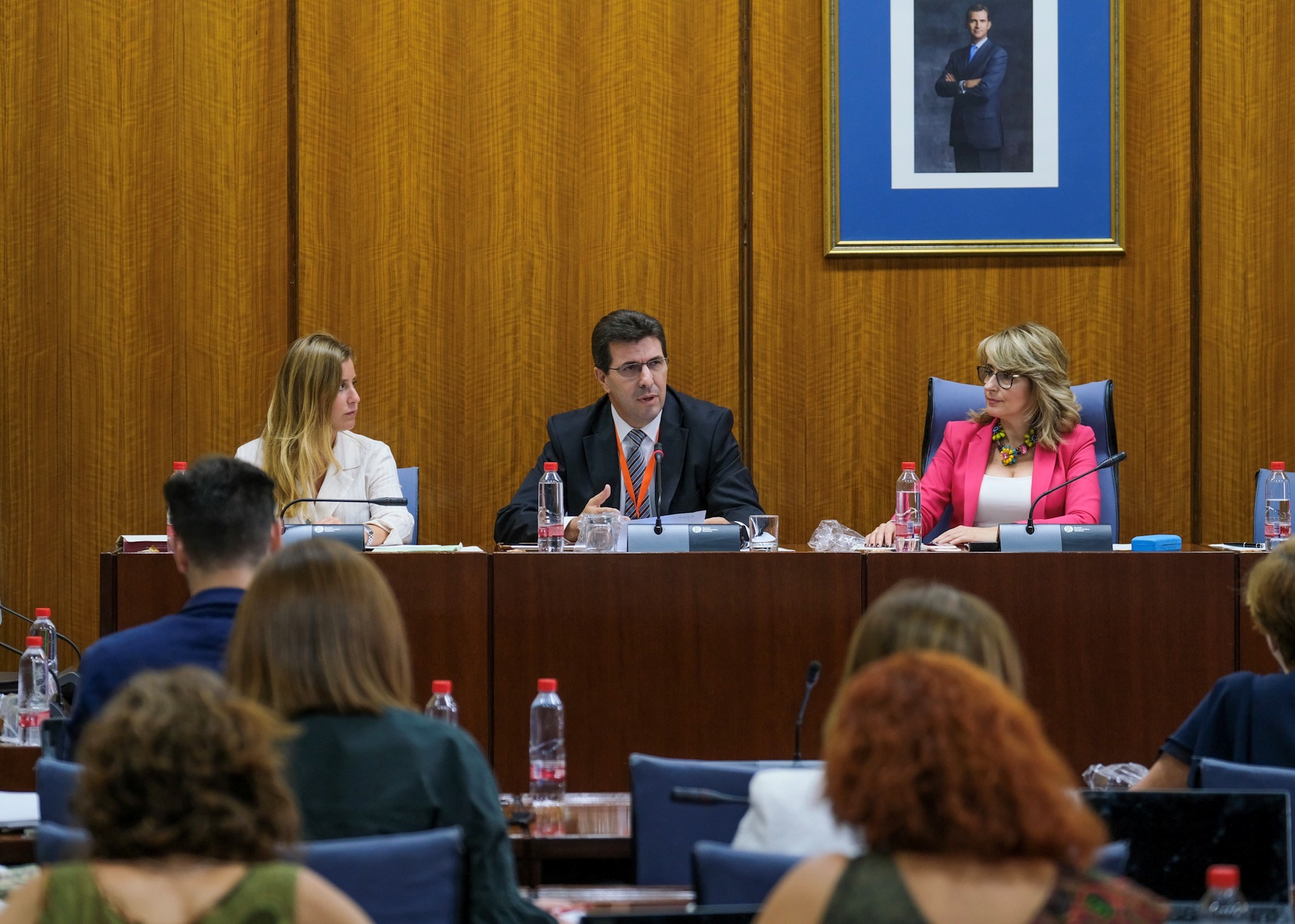  La Comisin sobre la Discapacidad en Andaluca asiste a la comparecencia de un representante de la entidad Down Andaluca