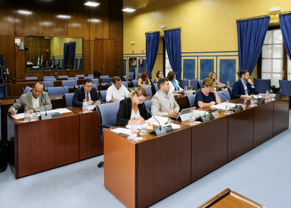 Diputados y diputadas de la Comisin sobre la Discapacidad en Andaluca 