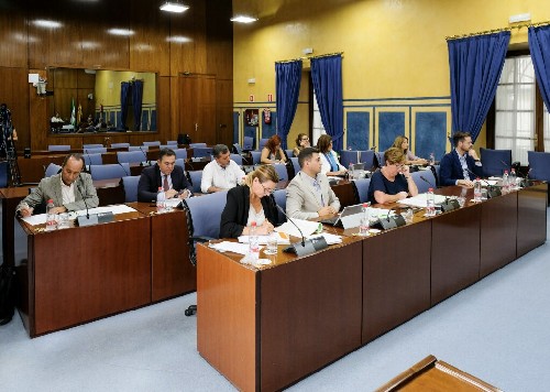 Diputados y diputadas de la Comisin sobre la Discapacidad en Andaluca 
