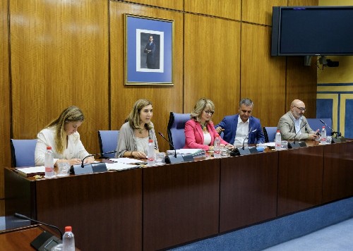  La Mesa de la Comisin de Discapacidad durante la intervencin de la consejera de Empleo, Formacin y Trabajo Autnomo, Roco Blanco 