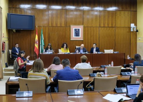  Comisin de Igualdad, Polticas Sociales y Conciliacin