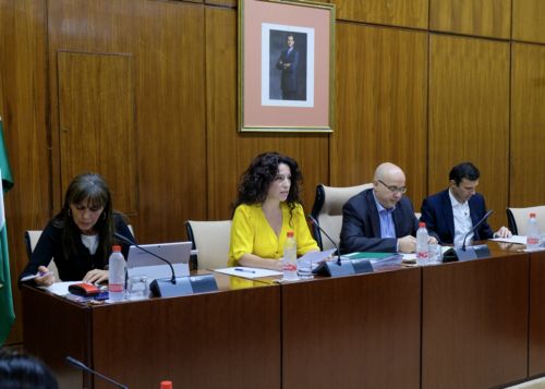  Mesa de la Comisin de Igualdad, Polticas Sociales y Conciliacin durante la intervencin de Roco Ruiz