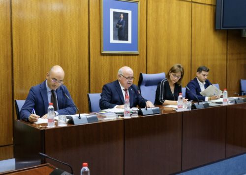  Mesa de la Comisin de Salud y Familias durante la intervencin del consejero
