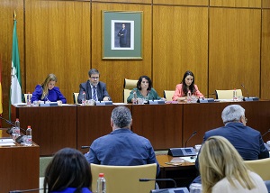  El presidente de la Cmara de Cuentas, Antonio Lpez, interviene ante la Comisin de Economa
