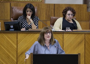 Soledad Prez, del Grupo Socialista, presenta una proposicin de ley sobre prevencin del juego patolgico