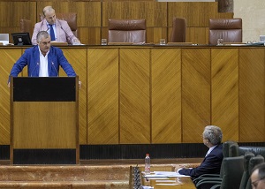  Javier Carnero, del Grupo Socialista, se dirige al consejero de Economa