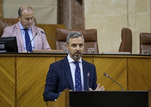  Juan Bravo, consejero de Hacienda, comparece ante el Pleno