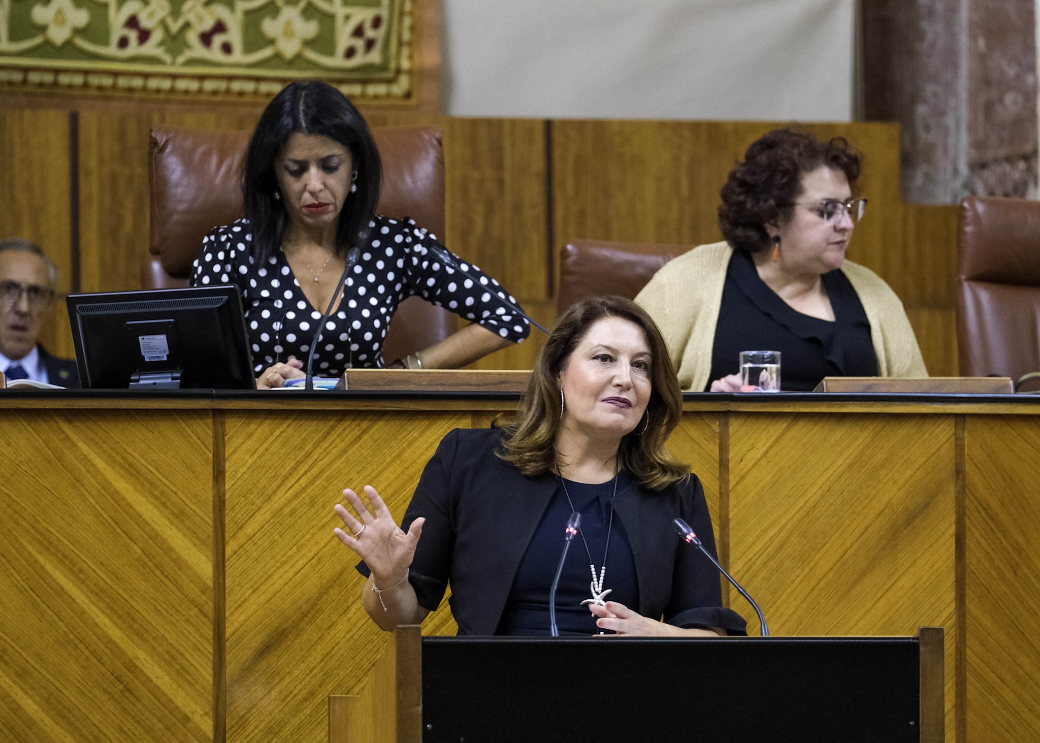  La consejera de Agricultura, Carmen Crespo, durante su comparecencia