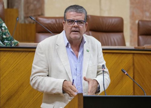  Nacho Molina, del Grupo Adelante Andaluca, interviene en la interpelacin relativa a poltica en materia de trabajo y bienestar laboral