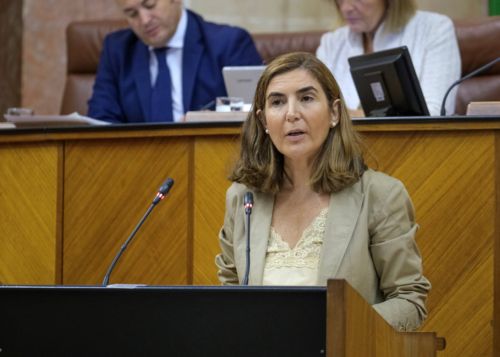  Roco Blanco, consejera de Empleo, Formacin y Trabajo Autnomo, interviene en la interpelacin relativa a poltica en materia de trabajo y bienestar laboral