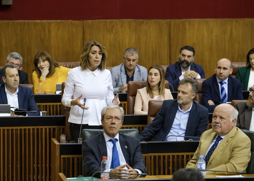  La portavoz del Grupo Socialista, Susana Daz, formula su pregunta en la sesin de control 