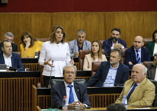  La portavoz del Grupo Socialista, Susana Daz, formula su pregunta en la sesin de control 