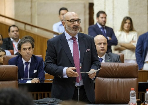  Alejandro Hernndez, portavoz del Grupo Vox, realiza su pregunta durante la sesin de control al Gobierno 