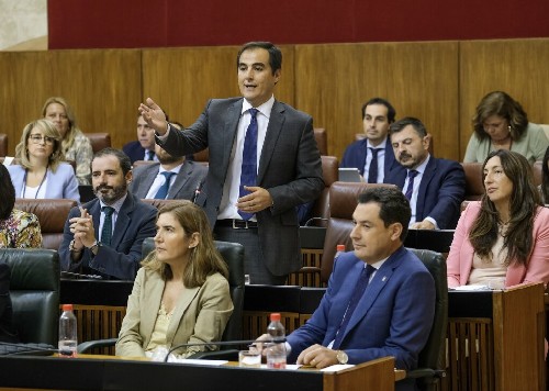 El portavoz del Grupo Popular, Jos Antonio Nieto, durante la sesin de control 