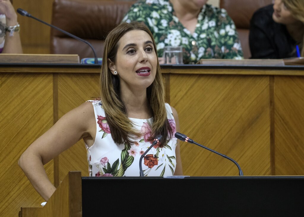 Beatriz Rubio, en representacin del Grupo Socialista, en el debate de la Proposicin no de Ley en Pleno que han presentado