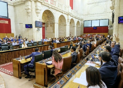  Momento de votacin de una de las Proposiciones no de Ley en Pleno 