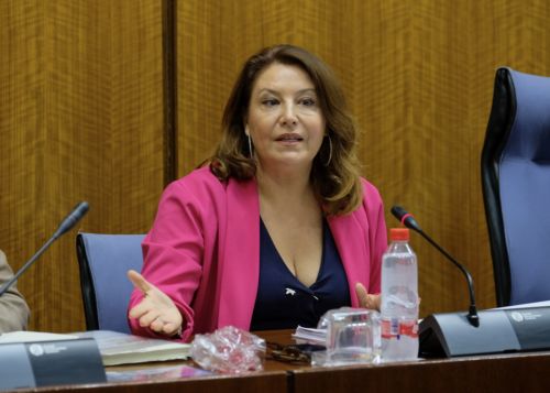   Carmen Crespo, consejera de Agricultura, Ganadera, Pesca y Desarrollo Sostenible, explica en Comisin los presupuestos de su departamento para el ao 2020