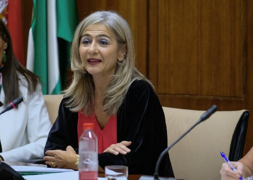 La consejera de Cultura y Patrimonio Histrico, Patricia del Pozo, presenta en comisin los presupuestos de su consejera para el ao 2020 