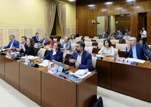 La Comisin de Cultura y Patrimonio Histrico durante la exposicin de la consejera del ramo