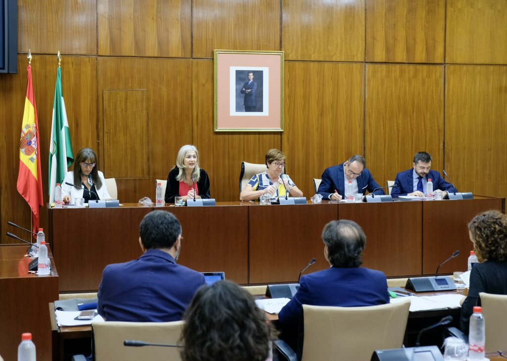 La Mesa de la Comisin de Cultura con la consejera titular 