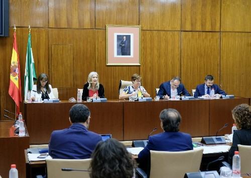 La Mesa de la Comisin de Cultura con la consejera titular 