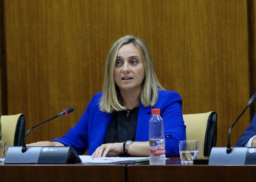  Marifrn Carazo, consejera de Fomento, Infraestructuras y Ordenacin del Territorio, argumenta los presupuestos de su departamento 
