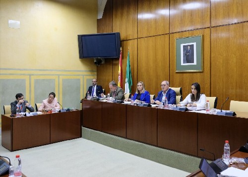 La consejera de Fomento y la Mesa de la Comisin respectiva  