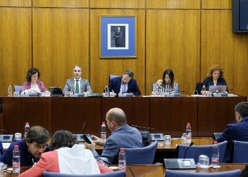  La Mesa de la Comisin de Presidencia, Administracin Pblica e Interior y el consejero del ramo, Elas Bendodo 