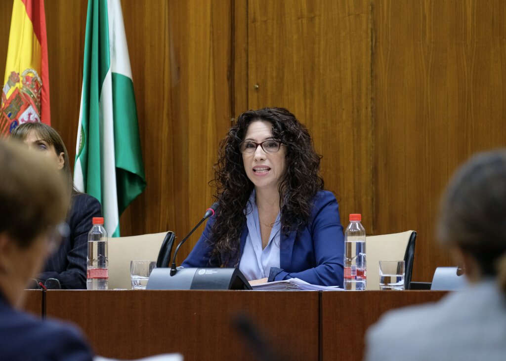  Roco Ruiz, consejera de Igualdad, comparece para explicar los presupuestos de su consejera en comisin 