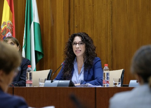  Roco Ruiz, consejera de Igualdad, comparece para explicar los presupuestos de su consejera en comisin 