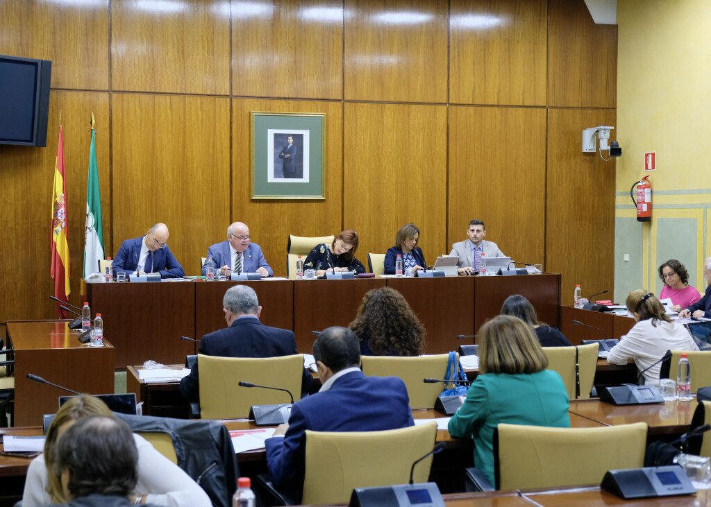 La Mesa de la Comisin de Salud y el consejero Jess Aguirre  