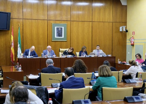 La Mesa de la Comisin de Salud y el consejero Jess Aguirre  