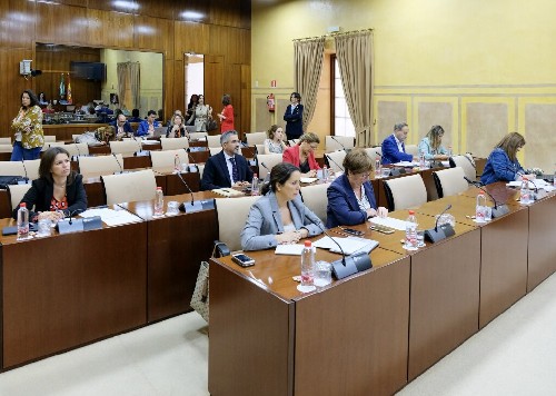 Diputados y diputadas de la Comisin de Igualdad, Polticas Sociales y Conciliacin 