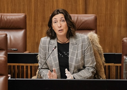 La presidenta del Grupo Popular, Dolores Lpez, durante su argumentacin 