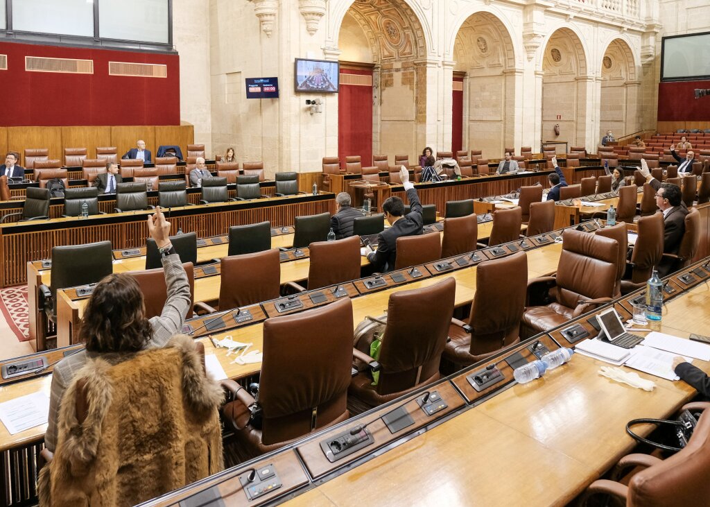       Imagen de la Diputacin Permanente en el Saln de Plenos durante una de las votaciones 