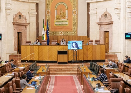     La consejera de Igualdad, Polticas Sociales y Conciliacin, Roco Ruiz, informa mediante videoconferencia en la Diputacin Permanente 