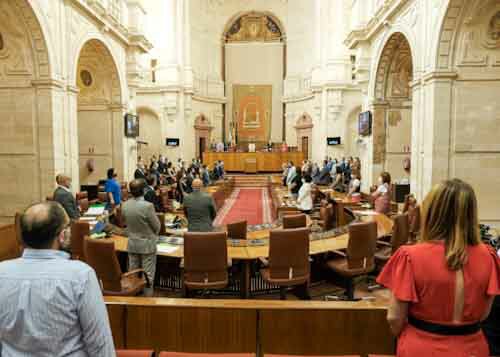  La Sesin Plenaria se ha iniciado con un minuto de silencio en conmemoracin de las vctimas del COVID-19 y en seal de solidaridad con los familiares de los fallecidos