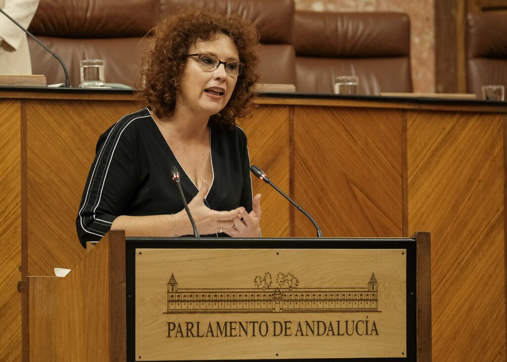 La diputada del Grupo Ciudadanos, Mara del Mar Snchez, durante su intervencin en el debate