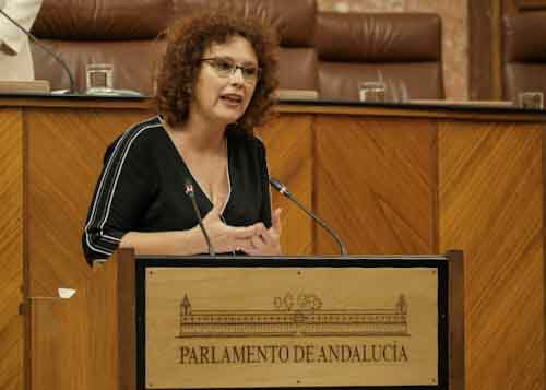 La diputada del Grupo Ciudadanos, Mara del Mar Snchez, durante su intervencin en el debate