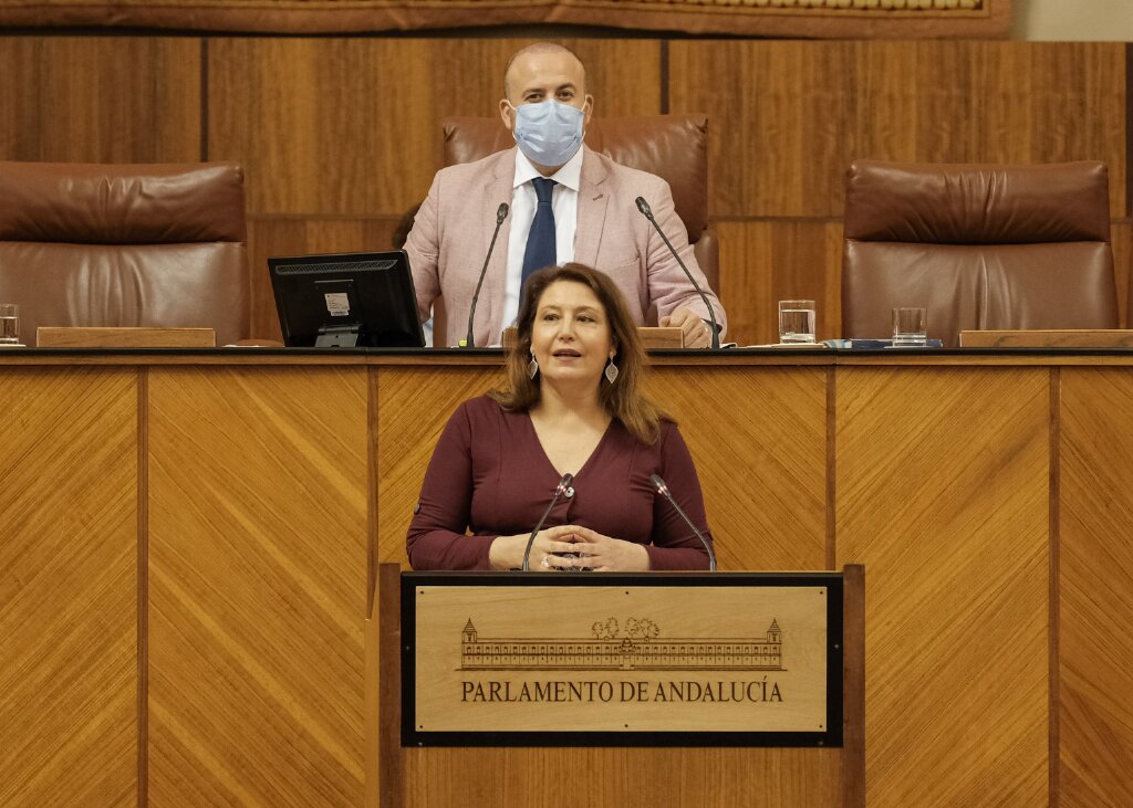 Carmen Crespo, consejera de Agricultura, comparece para  hacer balance de la situacin del sector agrario y ganadero como consecuencia de la pandemia. Al fondo Julio Daz, vicepresidente tercero de la Cmara 