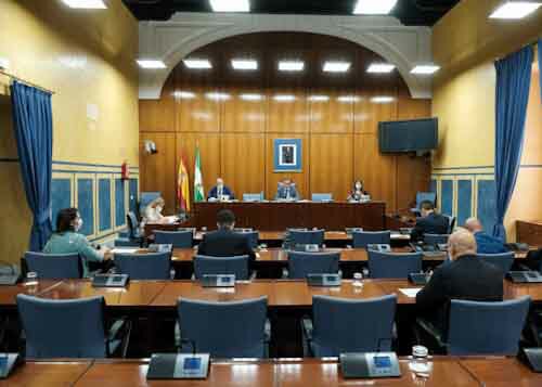 La Comisin de Estudio sobre la Recuperacin Econmica y Social de Andaluca a causo de la pandemia del COVID-19 ha desarrollado una nueva sesin en la jornada del lunes 8 de junio