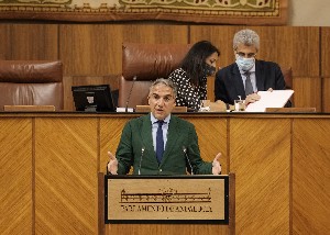 Elas Bendodo, consejero de Presidencia, presenta al Pleno el Decreto Ley de medidas para la reactivacin del sector de la hostelera, restauracin, ocio y esparcimiento, de playas seguras y otras medidas econmicas ante la situacin de alerta sanitaria generada por el coronavirus (COVID-19)
