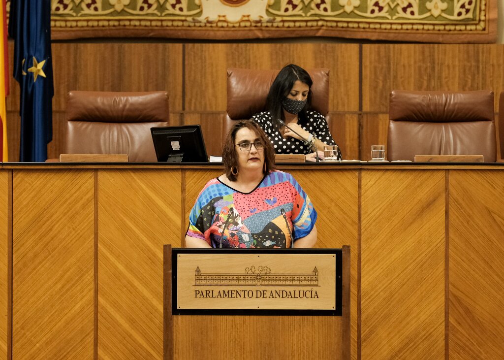   ngela Aguilera, portavoz adjunta de Adelante Andaluca, defiende la Proposicin de Ley de Cuentas Claras y Abiertas para la Administracin Pblica Andaluza
