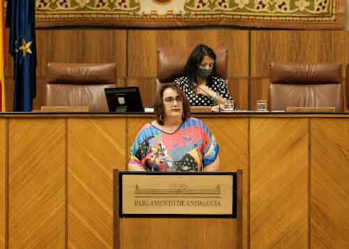   ngela Aguilera, portavoz adjunta de Adelante Andaluca, defiende la Proposicin de Ley de Cuentas Claras y Abiertas para la Administracin Pblica Andaluza
