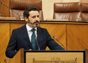 Jos Ramn Carmona, del Grupo Popular, defiende la convalidacin del decreto ley presentado por el Gobierno